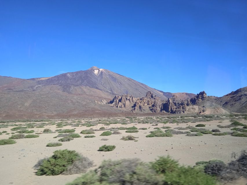 From Tenerife: Teide National Park Guided Day Trip by Bus - Boarding the Coach, Finding Your Bus, and Learning on the Way Up