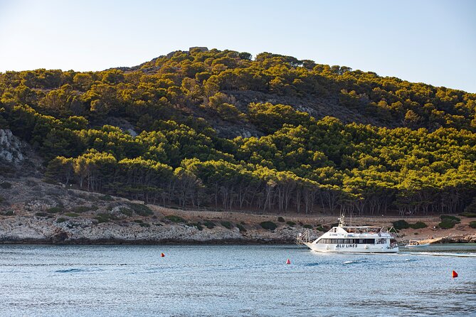 From Trapani: Egadi Islands tour with lunch on board - Practical tips that make this day smoother