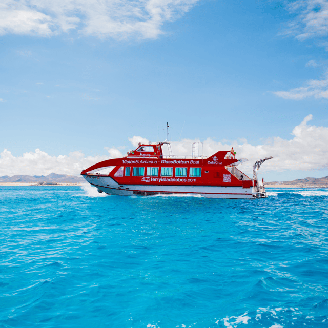 Fuerteventura: 1-Hour Mini Swim & Snorkel Cruise - Getting started at Corralejo Port without losing time