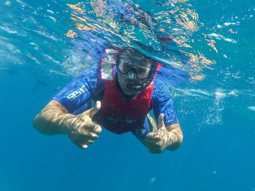 Fuerteventura: 2-Hour Kayaking and Snorkeling Excursion - Snorkeling stop: what you’re likely to see under the surface