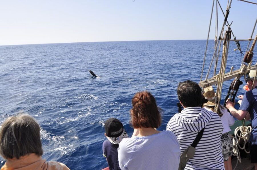 Fuerteventura: 4-Hour Pirate Sailing Adventure - Pirates you can actually participate in (not just watch)