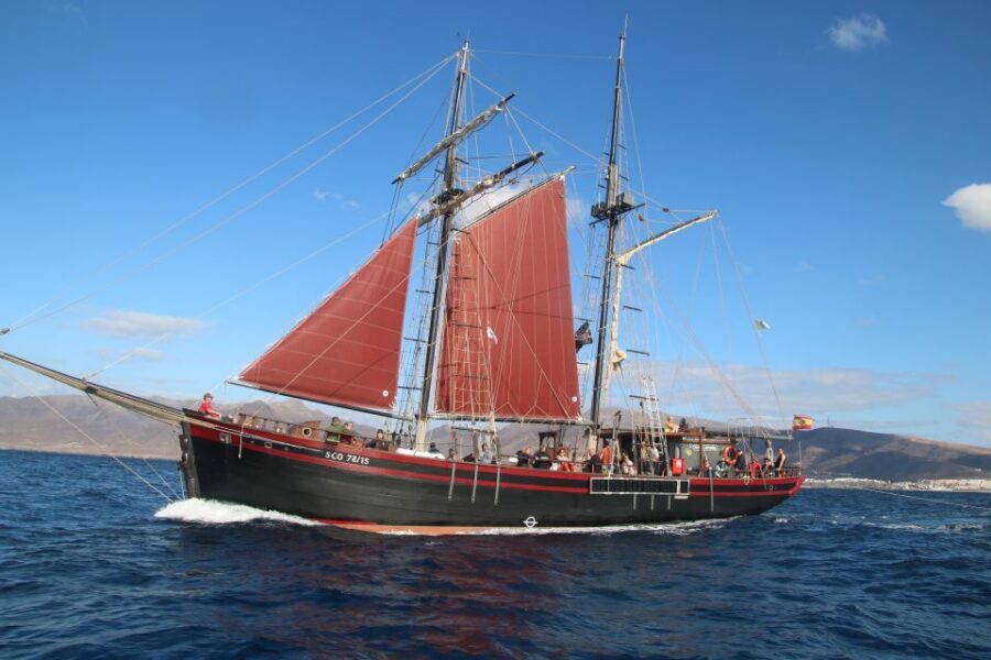 Fuerteventura: 4-Hour Pirate Sailing Adventure - Water time: swing, swim, and play (with safety-first adjustments)