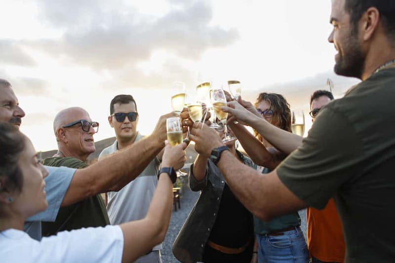 Fuerteventura Aloe & Olivo Tour with Optional Lunch - Tapas-Style Lunch: Gofio, Mojo, Majorero Cheese, and Wine