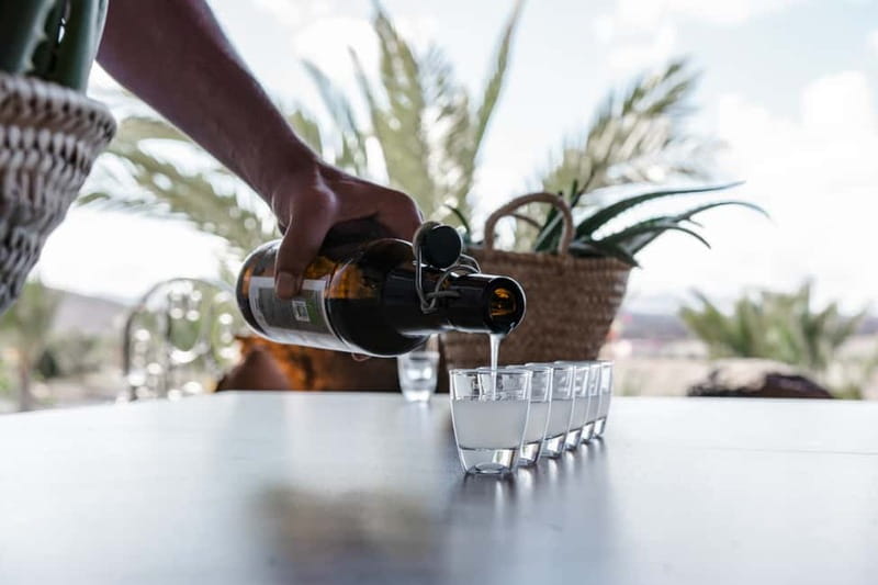 Fuerteventura Aloe & Olivo Tour with Optional Lunch - Price and Value for a 2–4 Hour Farm Tour
