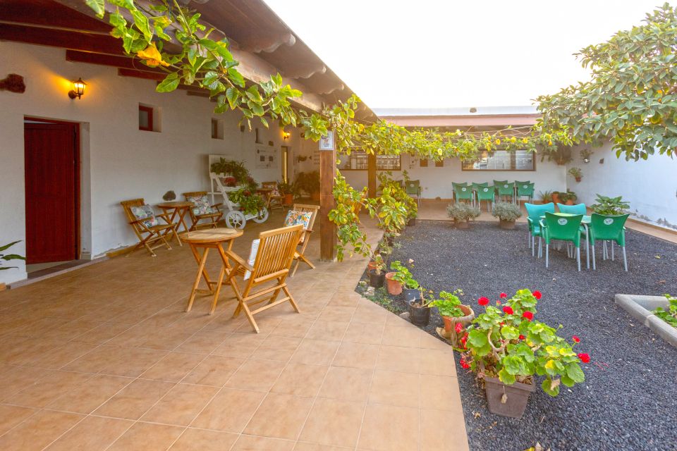 Fuerteventura: Artisan Goat's Cheese Making at Local Farm - Key highlights at a glance