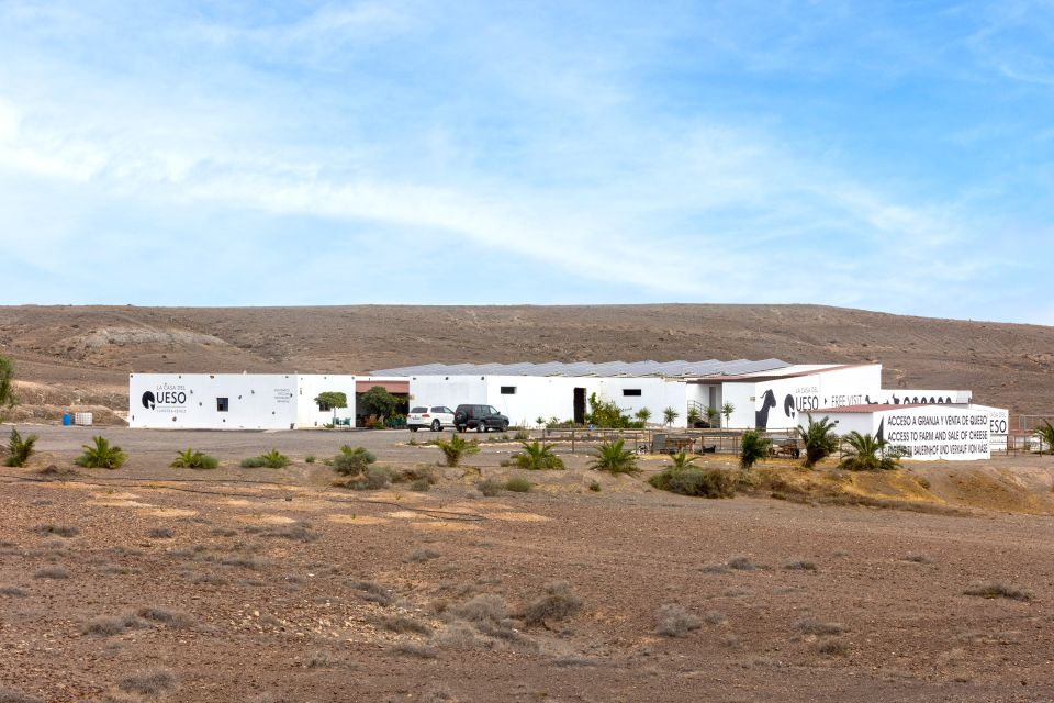 Fuerteventura: Artisan Goat's Cheese Making at Local Farm - Making your own fresh cheese: the step-by-step that turns work into food