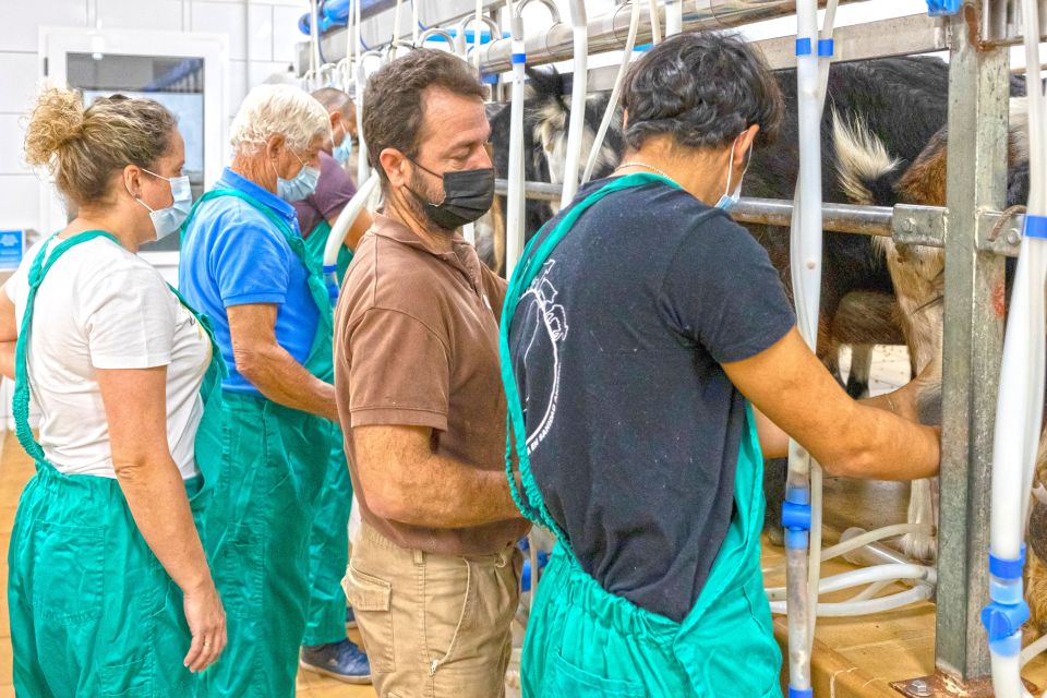 Fuerteventura: Artisan Goat's Cheese Making at Local Farm - Price and value: is $85 per person worth it?