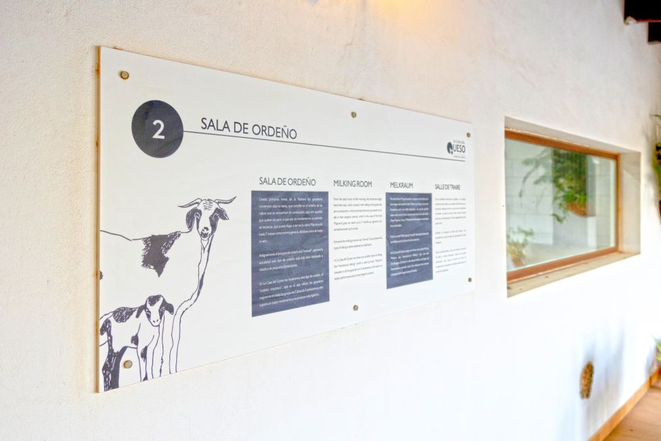 Fuerteventura: Artisan Goat's Cheese Making at Local Farm - Arrival coffee and farm orientation (where the day really starts)