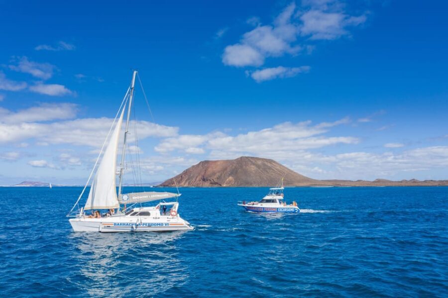Fuerteventura : Catamaran excursion to Lobos Island - Key highlights at a glance