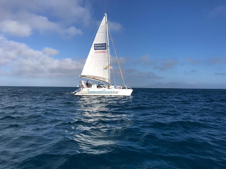 Fuerteventura : Catamaran excursion to Lobos Island - Tips to make your day smoother