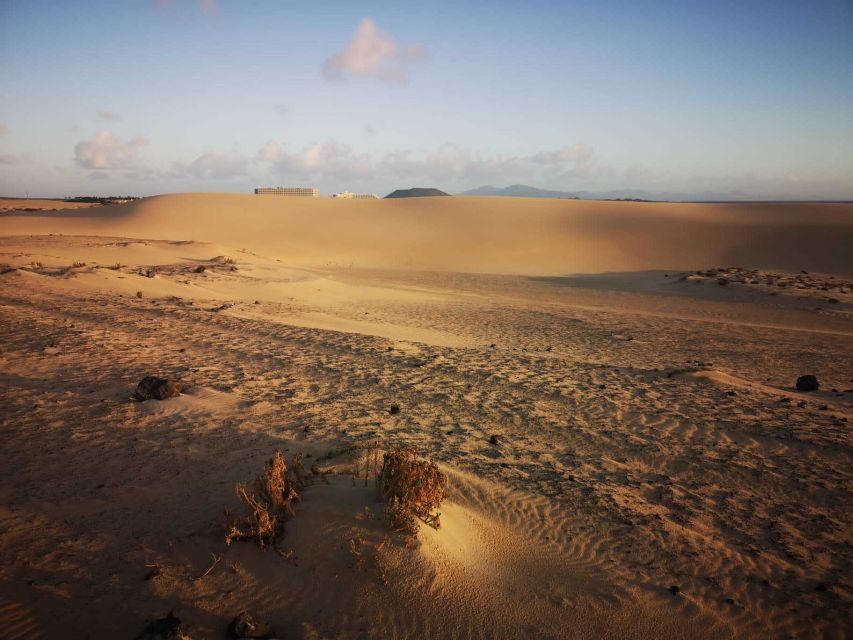 Fuerteventura: Corralejo Sand Dunes Guided Shore Excursion - Your live German guide: how to get the most (and when to double-check)