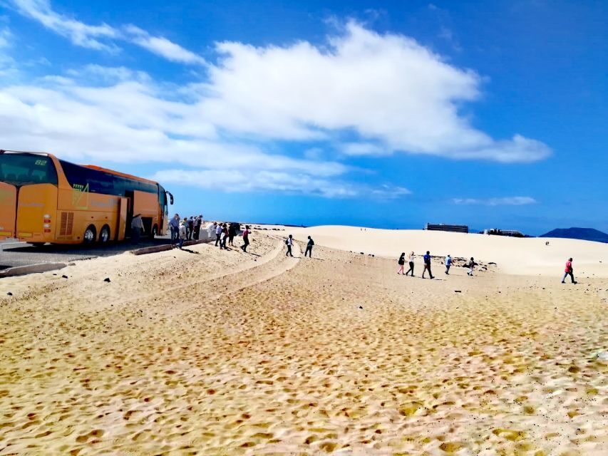 Fuerteventura: Corralejo Sand Dunes Guided Shore Excursion - Price and value: is $23 for 5 hours a good deal?