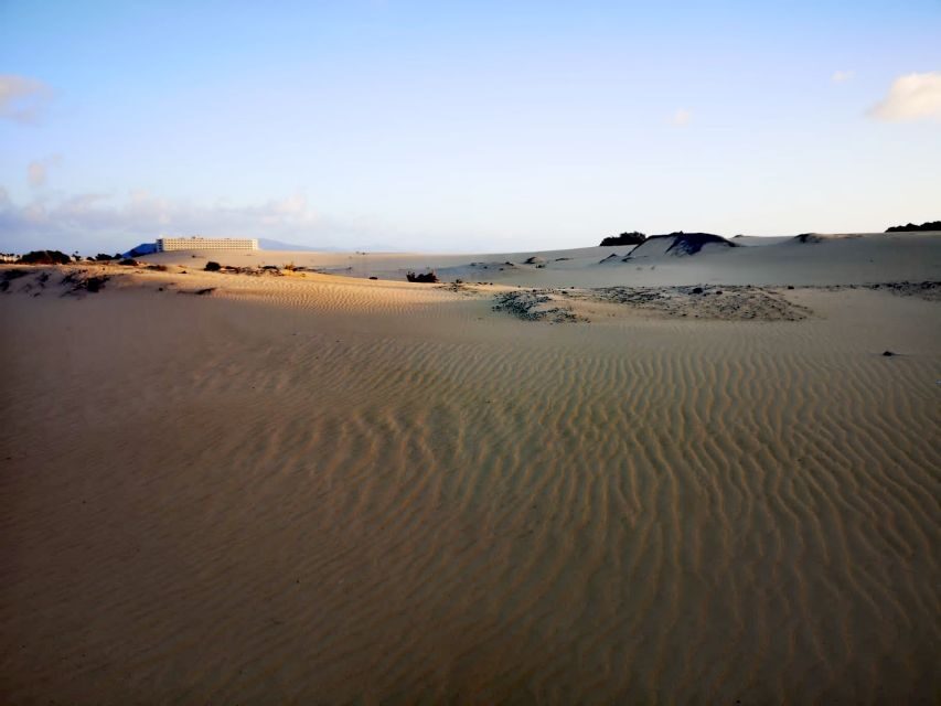Fuerteventura: Corralejo Sand Dunes Guided Shore Excursion - What to bring so the day feels easy, not stressful