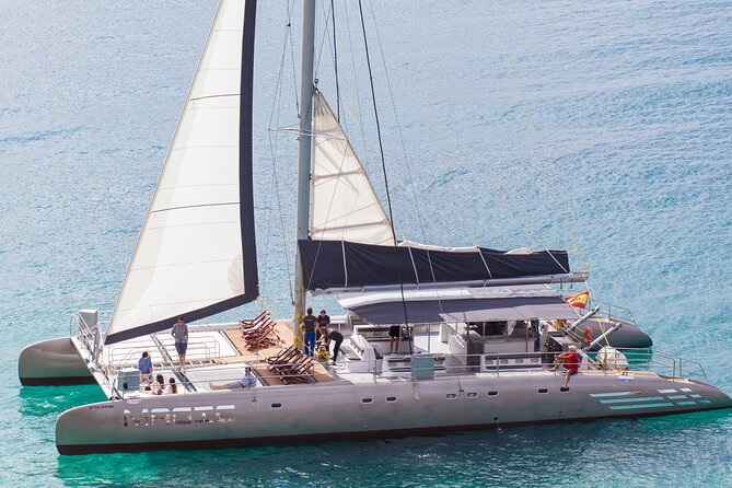 Fuerteventura: Day at Sea on a Sailing Catamaran with Lunch and Drinks - The Best Part: Dolphins and That Sudden Change of Pace