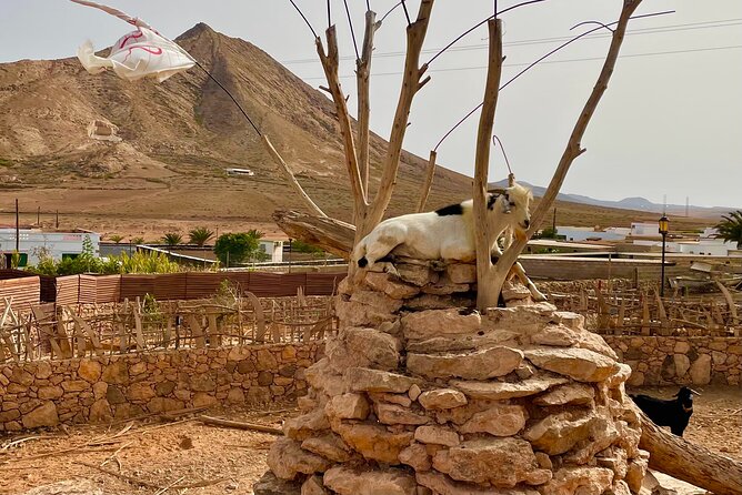 Fuerteventura: Discover Fuerteventura Tour max 8pax - Santa Maria Cathedral and the €2 Entry Decision