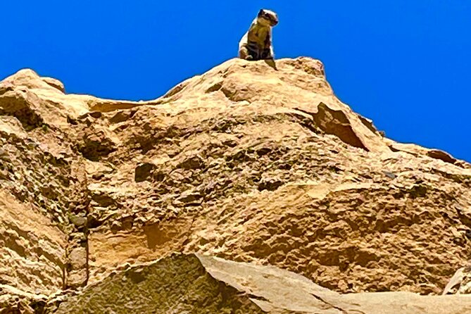 Fuerteventura: Discover Fuerteventura Tour max 8pax - Pájara and Tindaya: Local Village Life Meets Volcanic Power