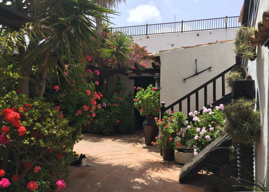 Fuerteventura: Discovery Tour - Getting on the bus in Corralejo, Cotillo, or Caleta de Fuste