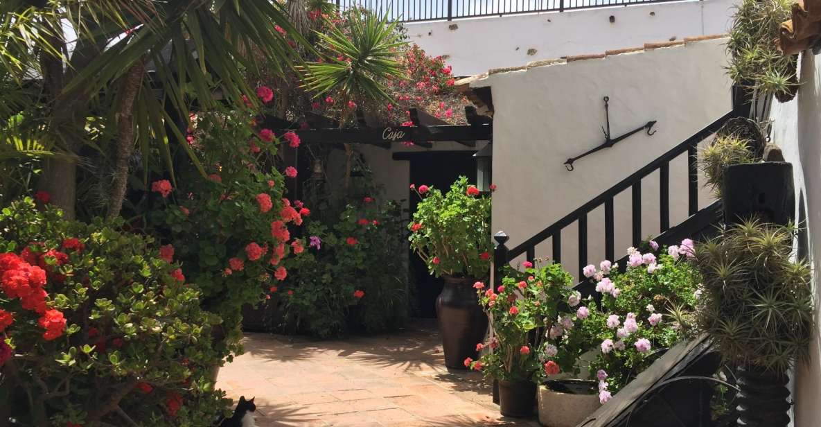 Fuerteventura: Discovery Tour - Tiscamanita and the aloe-and-agave theme that makes the island feel real