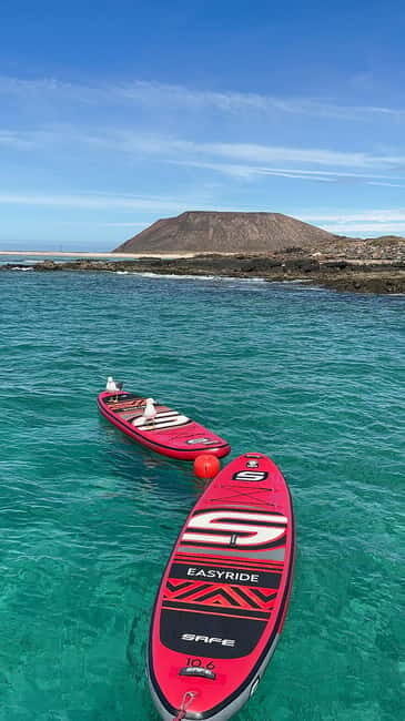 Fuerteventura: Dolphin watching and Lobo Island Combo Cruise - Why Fuerteventura’s Combo Cruise Works So Well