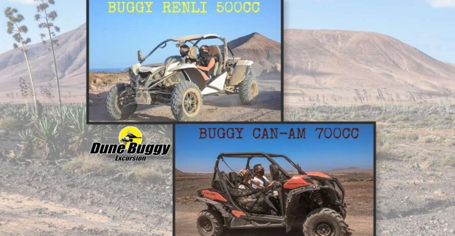 Fuerteventura: Dune Buggy Tour in Northern Fuerteventura - Key highlights to notice before you go