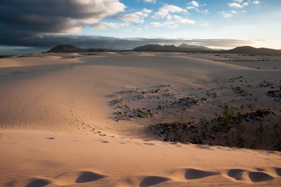 Fuerteventura: Dune Buggy Tour in Northern Fuerteventura - The return loop: scenic driving plus a practical reality check
