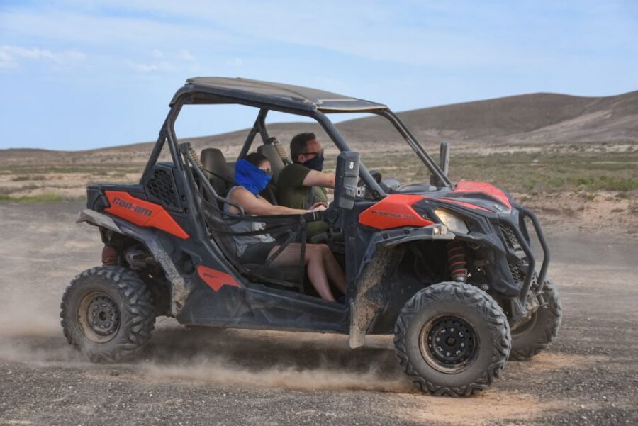 Fuerteventura: Dune Buggy Tour in Northern Fuerteventura - Safety and vehicle condition: what to expect from a licensed operator
