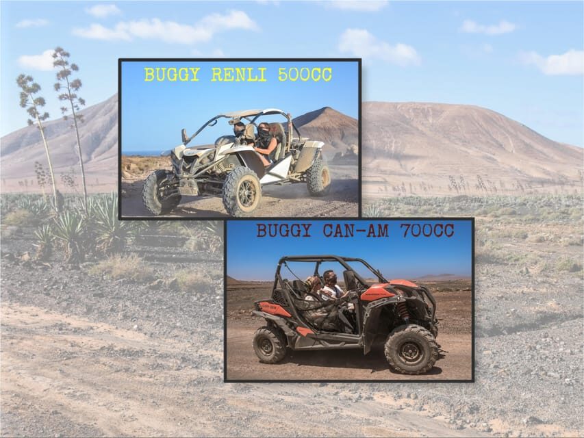 Fuerteventura: Dune Buggy Tour in Northern Fuerteventura - Where to meet and what to do first in Corralejo