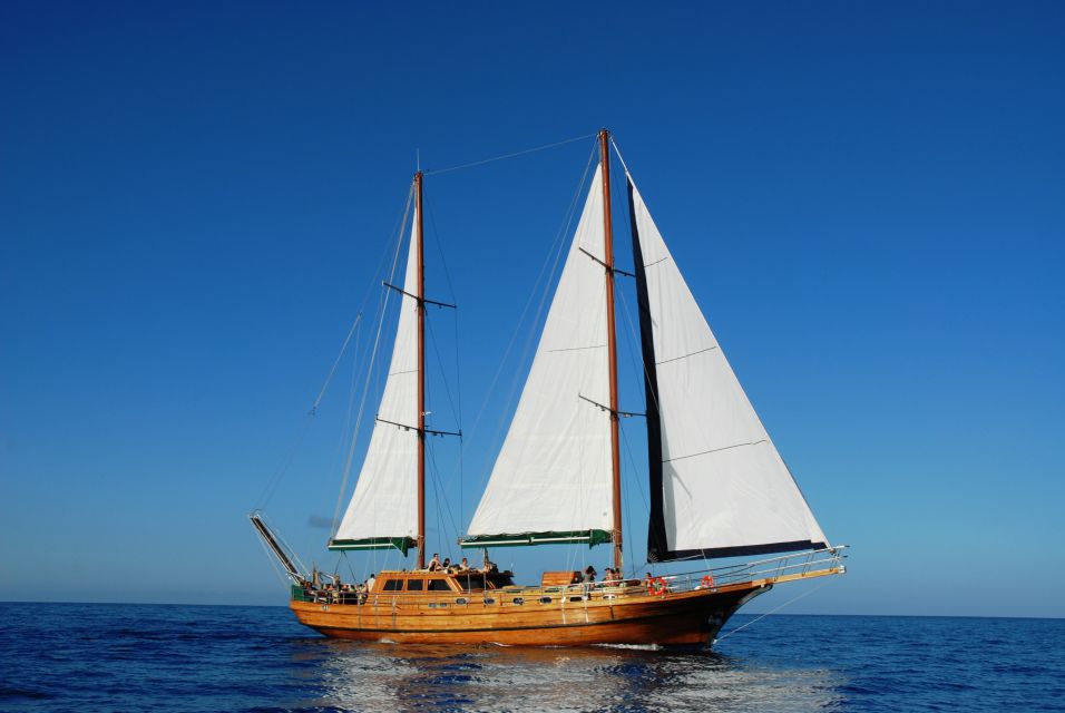 Fuerteventura: Exclusive Turkish Gulet Cruise with Lunch - Setting Sail From Morro Jable Port Without Stress