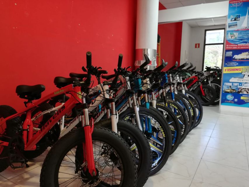 Fuerteventura: Explore the Area with a Bike Rental - Who Should Book This Bike Rental in Fuerteventura