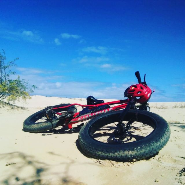 Fuerteventura: Explore the Area with a Bike Rental - Beaches vs trails: how to choose your vibe (and not waste time)