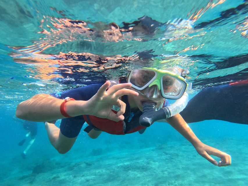 Fuerteventura: Guided Snorkeling in La Lajita with Pickup - The guides matter: coaching styles from Vesko, Jordi, Laura, and more