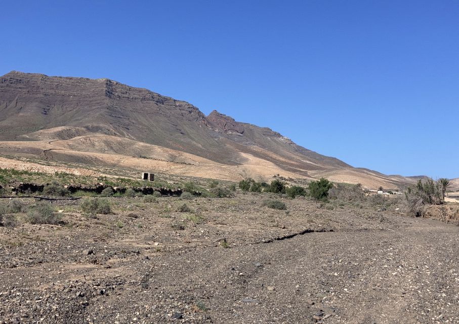 Fuerteventura: Guided Trekking Tour with Island Goats - The 8 km trek: medium-level means you need traction