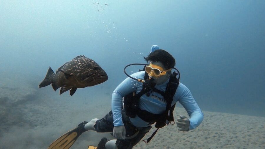 Fuerteventura: Introduction to Scuba Diving - Fuerteventura in 2.5 Hours: what the whole experience feels like