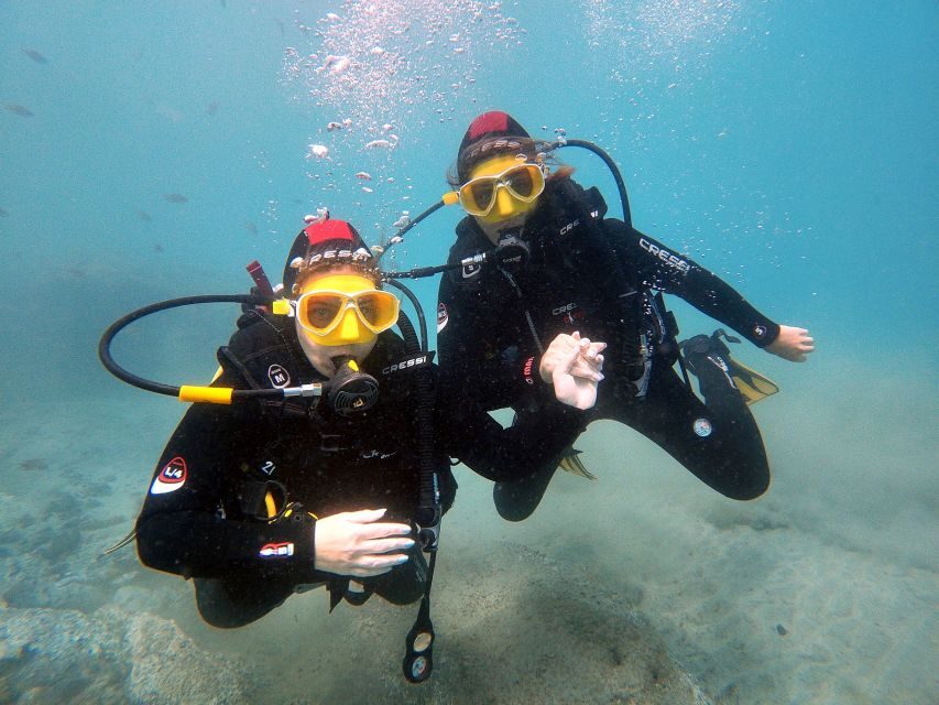 Fuerteventura: Introduction to Scuba Diving - Pickup by van: how you’ll get to La Lajita