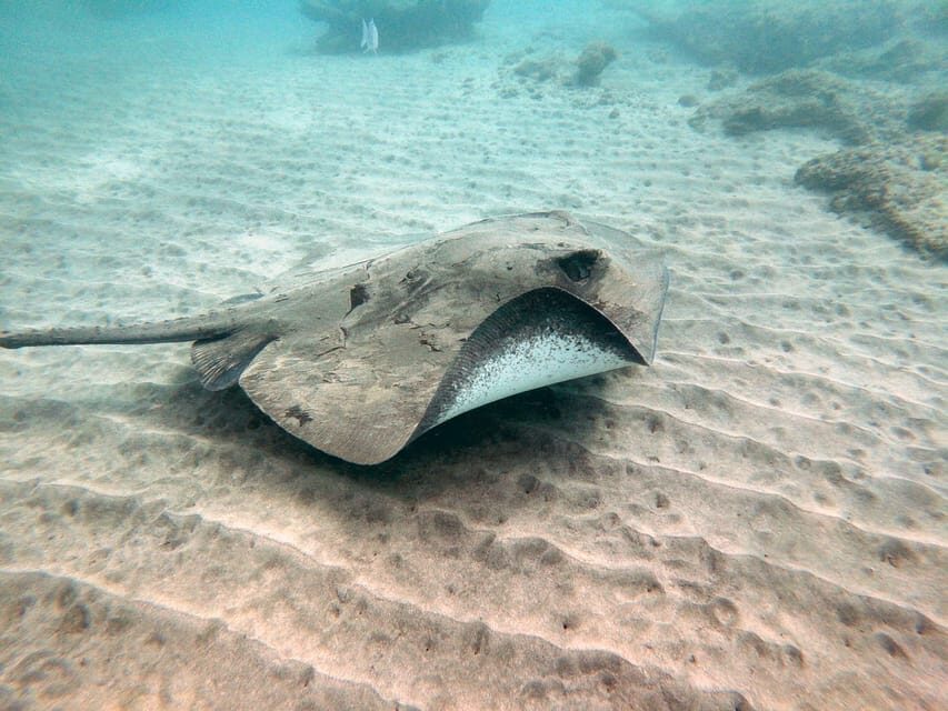 Fuerteventura: Introduction to Scuba Diving - Gear, sizes, and the one small trick for claustrophobia