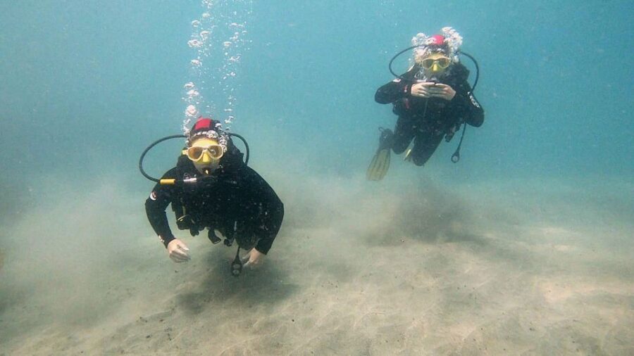 Fuerteventura: Introduction to Scuba Diving - Photos and video: worth it if you want real memories, not shaky selfie clips