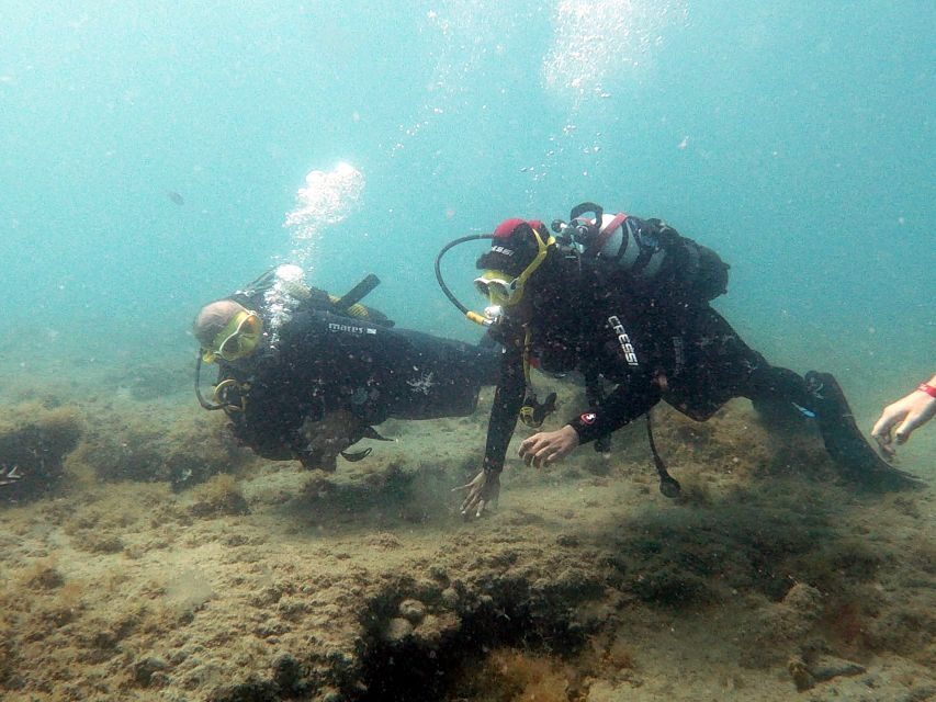 Fuerteventura: Introduction to Scuba Diving - Price and logistics: does $100 make sense?