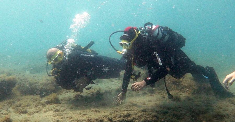 Fuerteventura: Introduction to Scuba Diving - Meeting up inside R2 Pajara Beach Hotel (Costa Calma, floor 6)