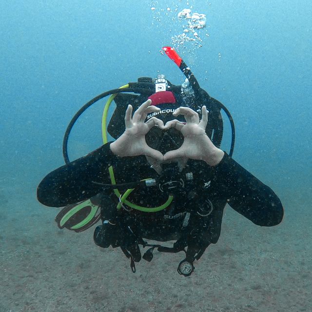 Fuerteventura: Introductory Dive in La Lajita with Pickup - First Time Scuba Off La Lajita: What the 2–2.5 Hours Actually Includes