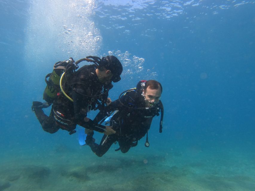 Fuerteventura: Introductory Dive in La Lajita with Pickup - What You’ll See in the Atlantic Ocean (and How to Make the Most of It)