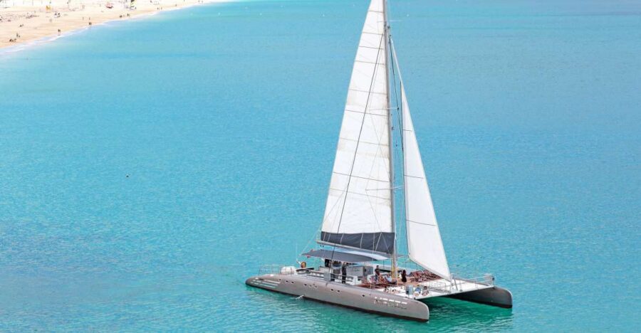 Fuerteventura: Magic Catamaran Trip with Food and Drinks - The Wildlife Hunt: Dolphins, Possible Whales, and Real Time at Sea
