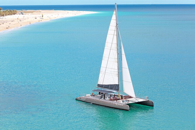 Fuerteventura: Magic Select Catamaran Trip with Food & Drinks - Magic Select Catamaran in Morro Jable: boat basics and the day’s mood