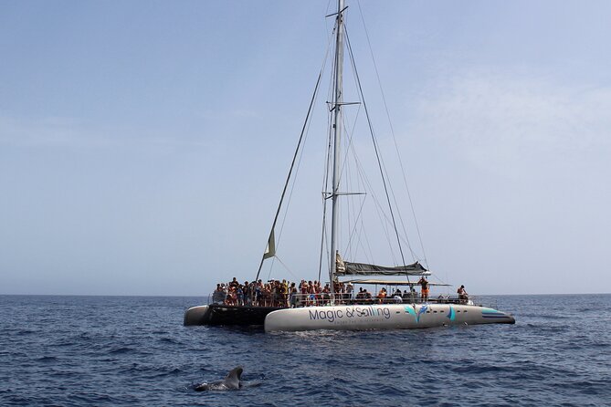 Fuerteventura: Magic Select Catamaran Trip with Food & Drinks - Seasickness and comfort: how the boat ride holds up
