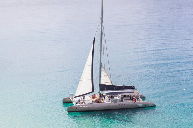 Fuerteventura: Magic Select Catamaran Trip with Food & Drinks - Pickup and drop-off timing: making it work with your day plan