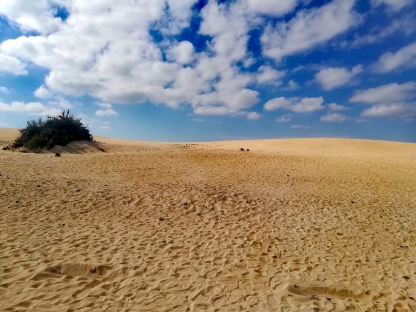Fuerteventura: North of Fuerteventura for Cruise Passengers - North Fuerteventura in 5 Hours: The Shape of the Day