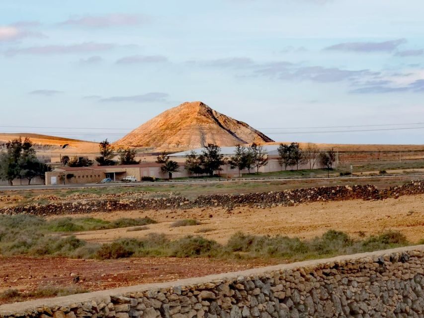 Fuerteventura: North of Fuerteventura for Cruise Passengers - What the Guide Shares: Volcanic Sands, Marine Life, and UNESCO Context