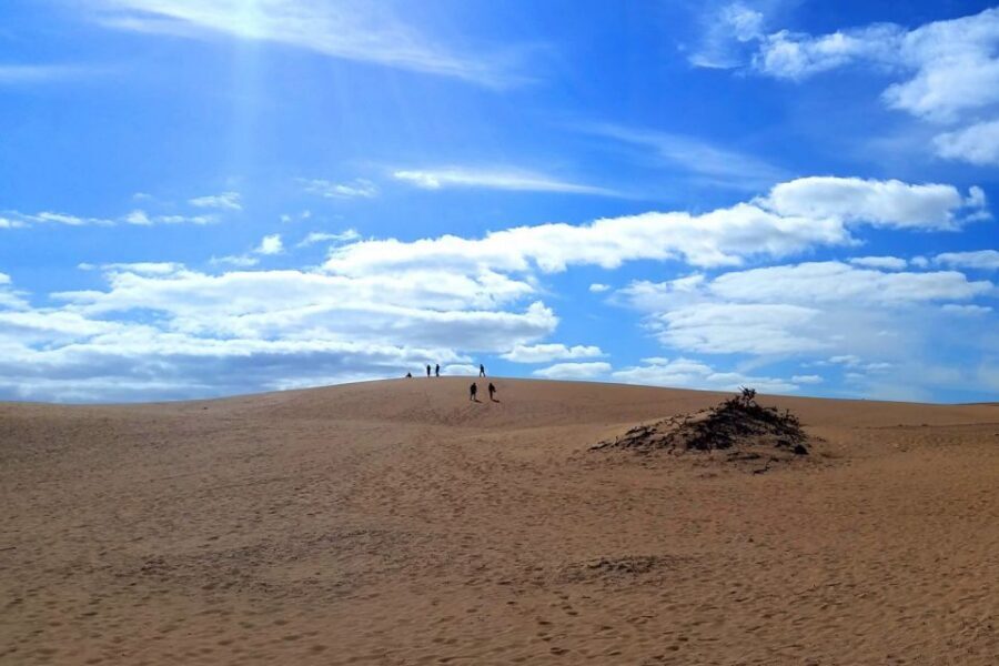 Fuerteventura: Panoramic Tour - Pickup in the North: Corralejo, Lajares, Villaverde, and Cotillo