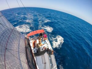 Fuerteventura: Sailing with Snorkeling and Dolphin Watching - Morro Jable harbor manta rays: the day’s first wow moment