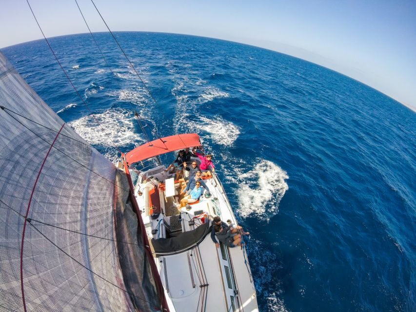 Fuerteventura: Sailing with Snorkeling and Dolphin Watching - Morro Jable harbor manta rays: the day’s first wow moment
