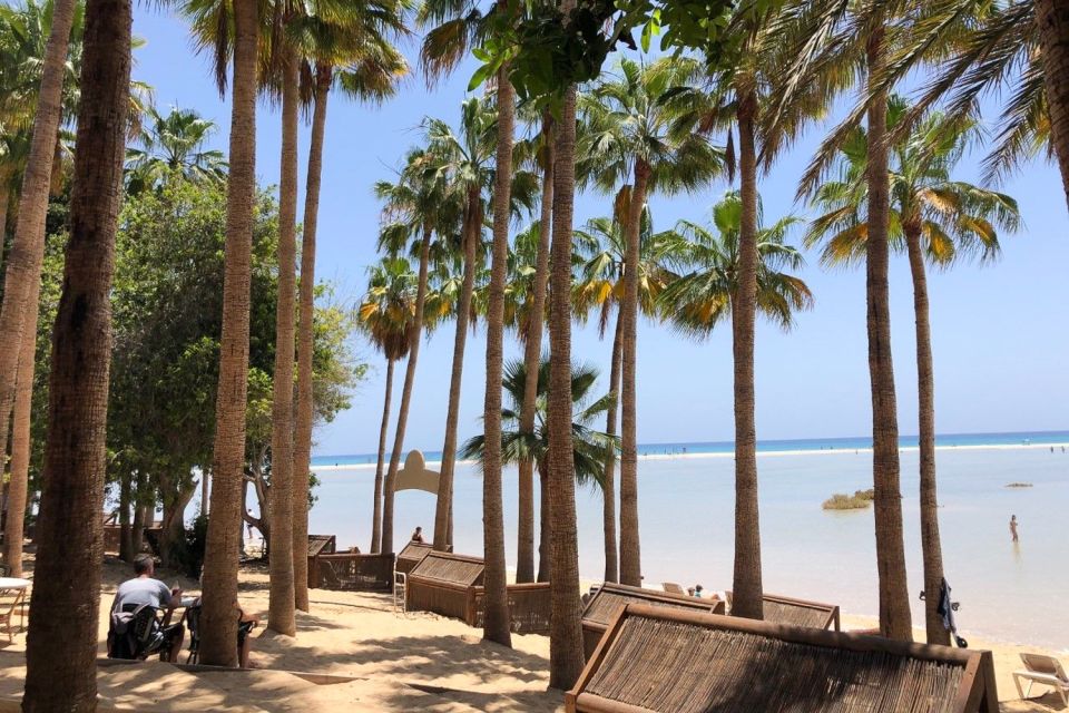 Fuerteventura South Full-Day Tour - Sotavento Beach and the Low-Tide Lagoon Windsurf Scene